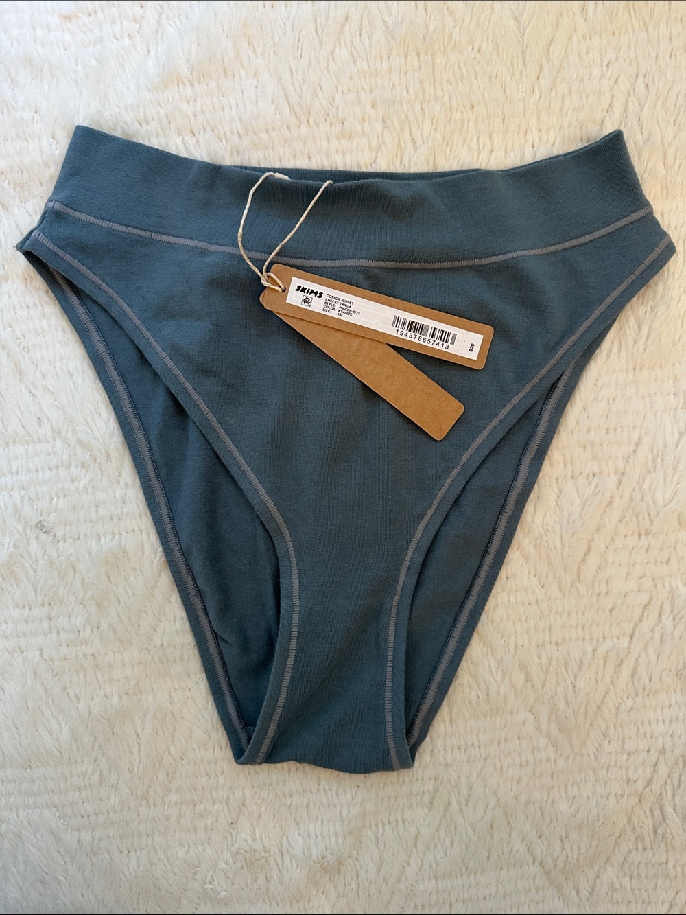 SKIMS Cotton Jersey Cheeky Tanga in Kyanite Blue